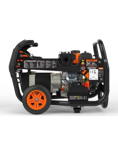 Generador Jaca 330W 230V - Genergy