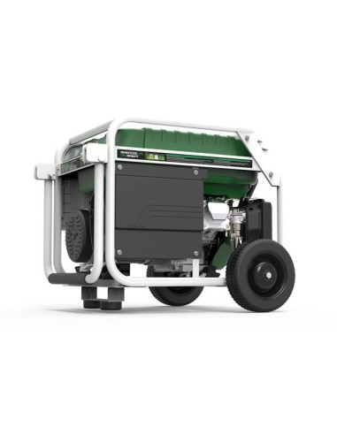 Generador Natura 5500W 230V - Genergy