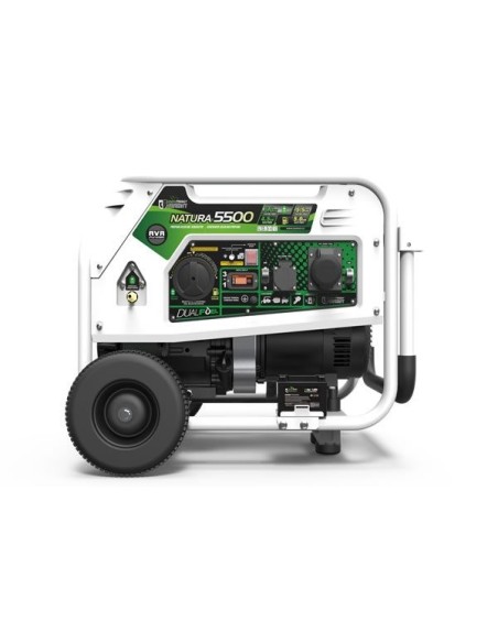 Generador Natura 5500W 230V - Genergy
