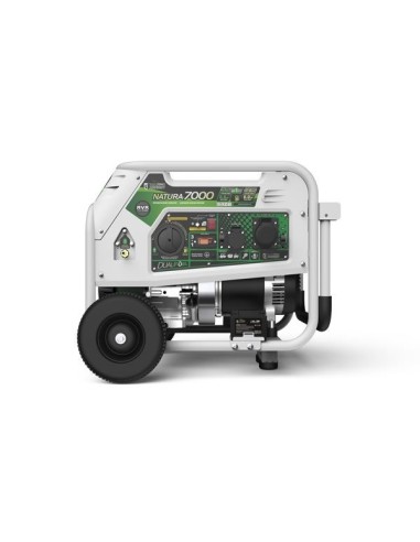 Generador Natura7000W 230V - Genergy