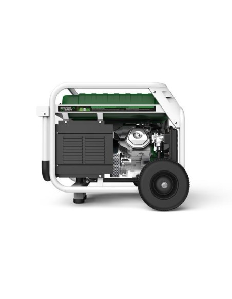 Generador Natura7000W 230V - Genergy