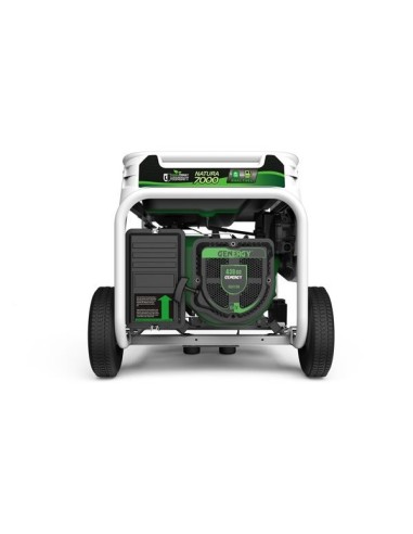 Generador Natura7000W 230V - Genergy