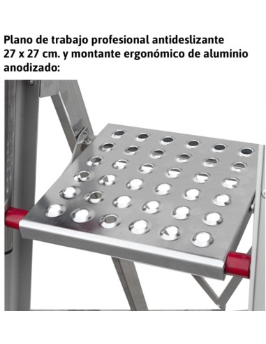 Escalera profesional con peldaños cómodos DOMUS4