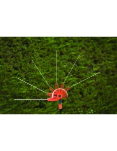 Cortasetos de Pértiga 550W Black+Decker 2