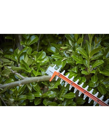 Cortasetos Power Command con una batería de...