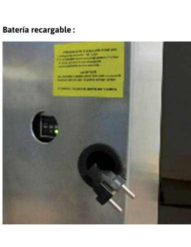 Escalera con plataforma y plano de carga eléctrico PICK20 8 Peldaños