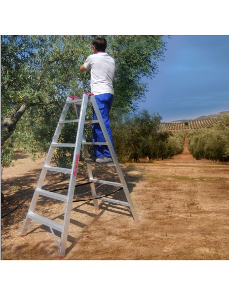 Escalera agrícola de doble subida 9+9 Peldaños T809