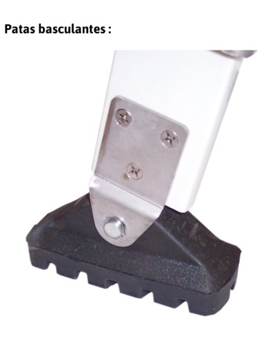 Escalera de fibra de vidrio extensible con rueda 2TFV-450/EC