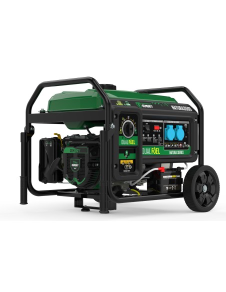 Generador Natura 3000W 230V - Genergy